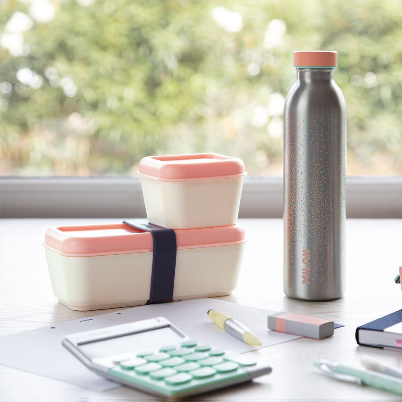 Stainless steel isothermal bottle 0.59 L Silver series, pink - Image 4