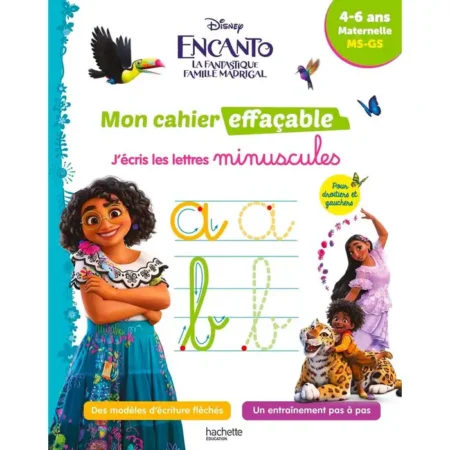 Mon cahier effaçable - J'écris les lettres minuscules (Disney)