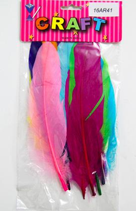 CRAFT MATERIAL FEATHER / 10 PCS