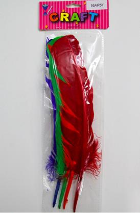 CRAFT MATERIAL FEATHER 4 BIG PCS