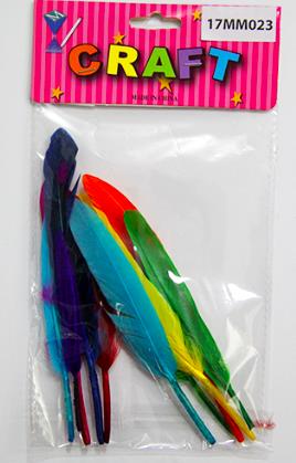 CRAFT MATERIAL FEATHER 10CM 10 PCS