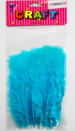 CRAFT MATERIAL FEATHER 15CM 15PCS