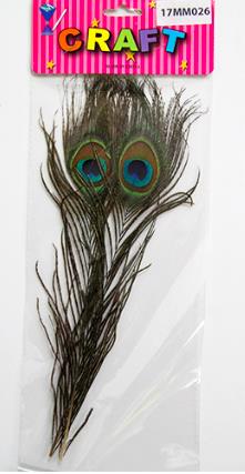 CRAFT MATERIAL FEATHER 25CM 2 PCS