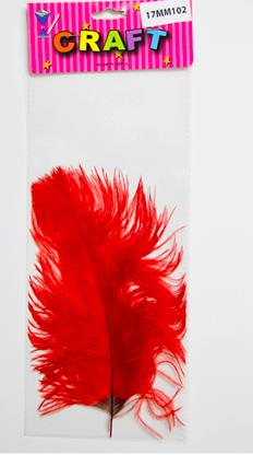 CRAFT FEATHER DECORATION 25CM